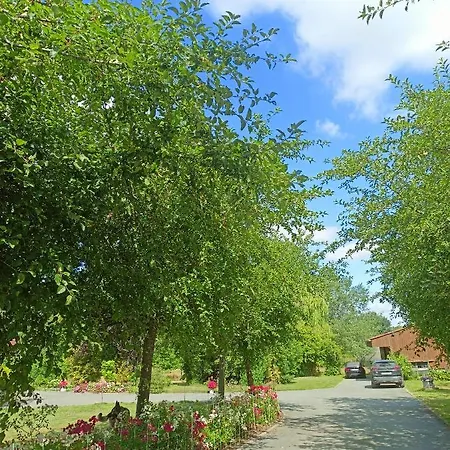 Konukevi Les Du Galant Rez De Jardin Verlinghem