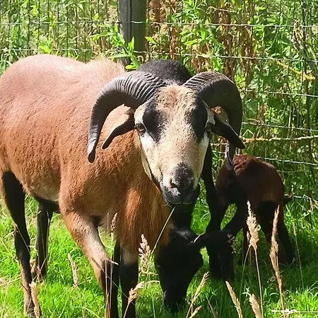 Penzion Les Du Galant Rez De Jardin 3*