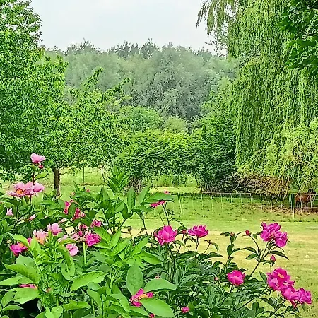 Les Du Galant Rez De Jardin * Verlinghem