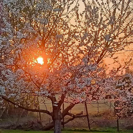 Les Du Galant Rez De Jardin 3* Verlinghem