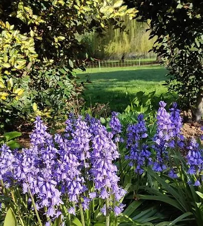 Penzion Les Du Galant Rez De Jardin