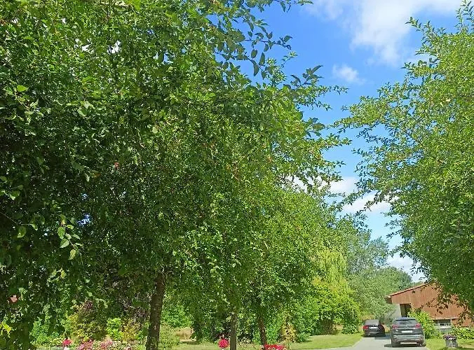 Maison d'hôtes Les Du Galant Rez De Jardin Verlinghem