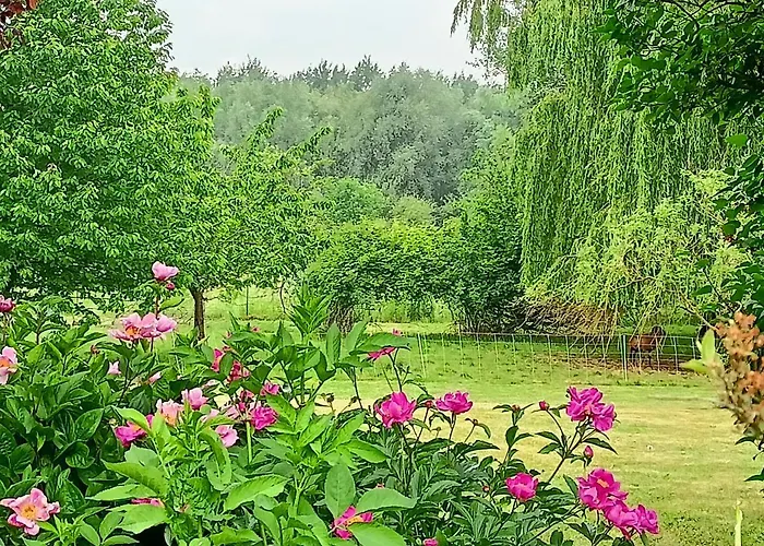 Les Du Galant Rez De Jardin 3* Verlinghem