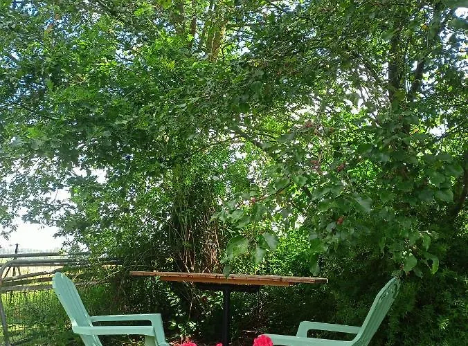 Maison d'hôtes Les Du Galant Rez De Jardin Verlinghem