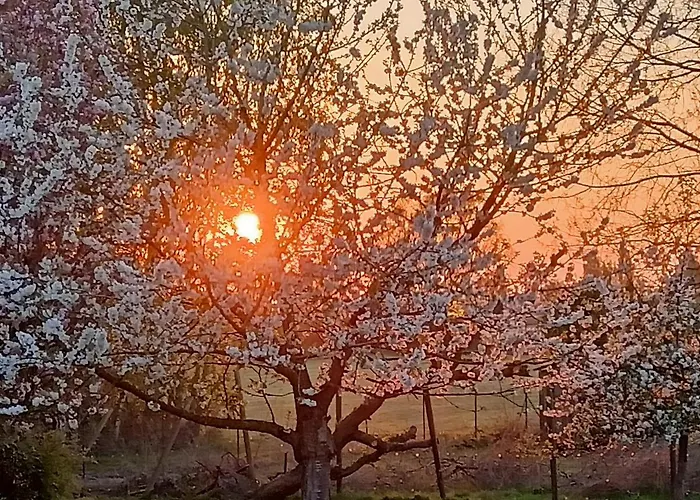 Les Du Galant Rez De Jardin 3* Verlinghem